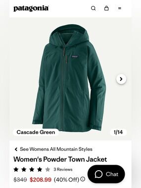 Patagonia Powder Town Ski Coat